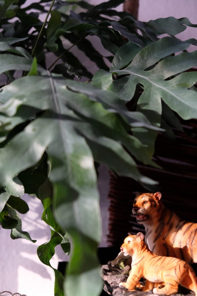 Tiger auf Safari im Stadtsalon